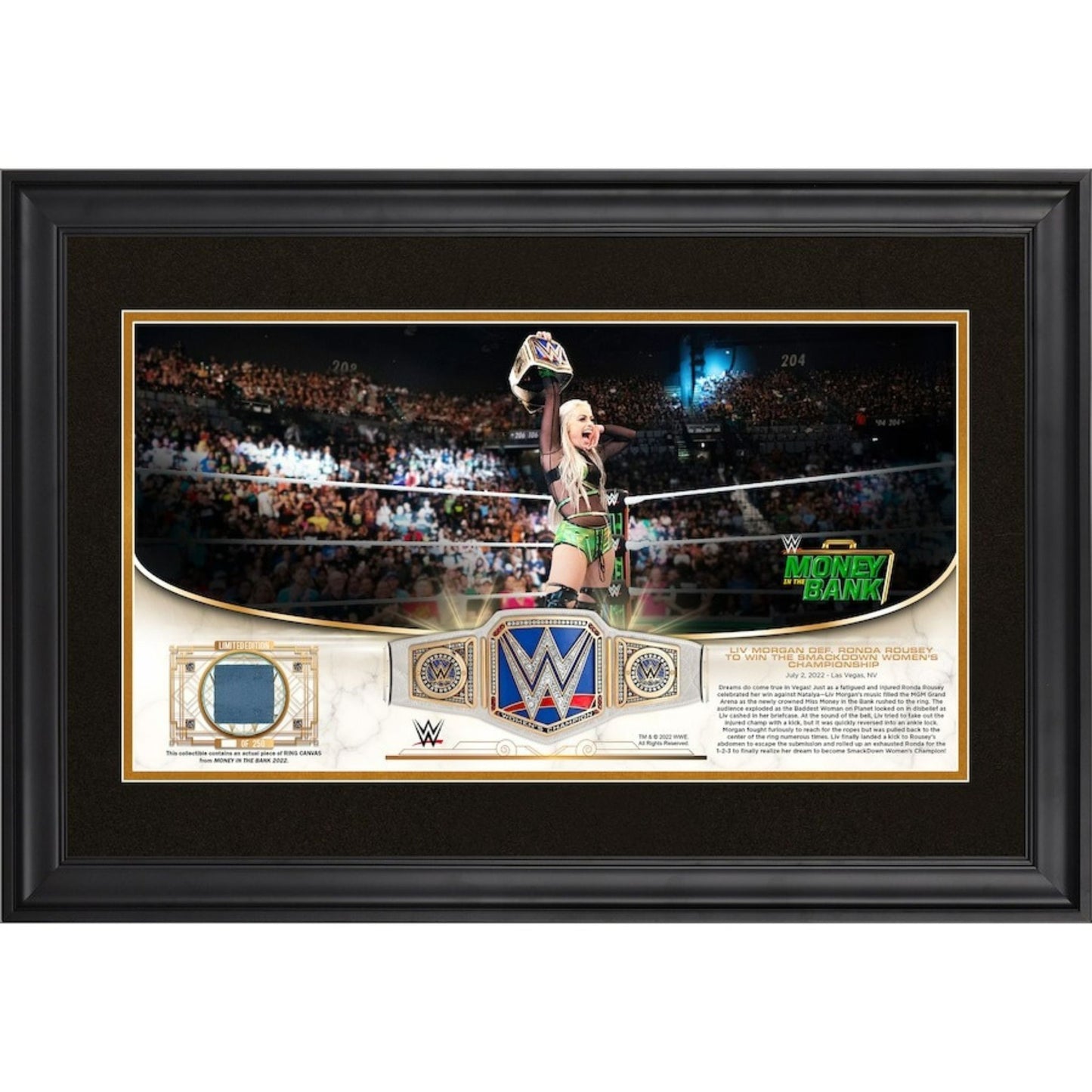 Liv Morgan WWE Golden Moments Fanatics Authentic Framed 10" x 18" 2022 Money In The Bank Collage with a Piece of Match - Used Canvas - Limited Edition of 250 - Trading Card Market