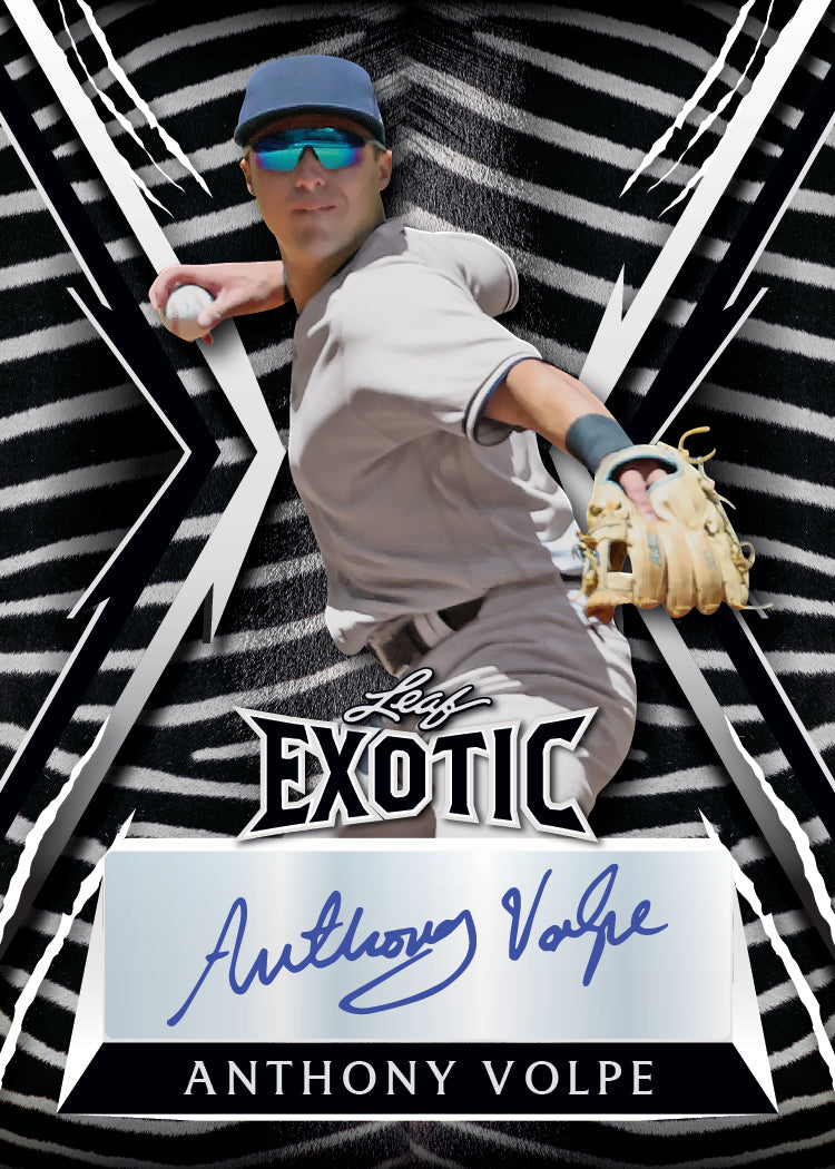 2023 Leaf Exotic Baseball Hobby Box-Anthony Volpe