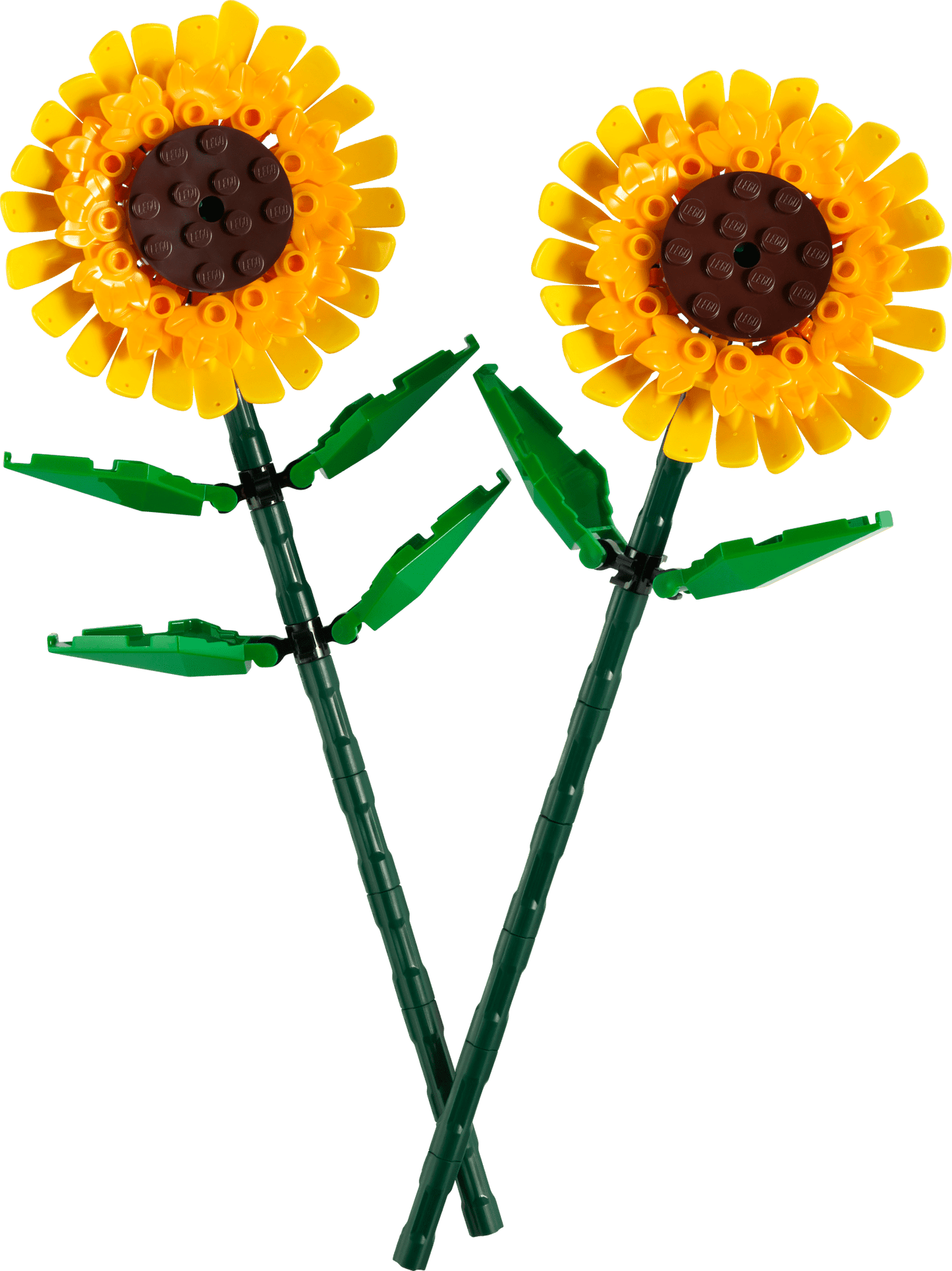 LEGO Botanicals Sunflowers - Trading Card Market