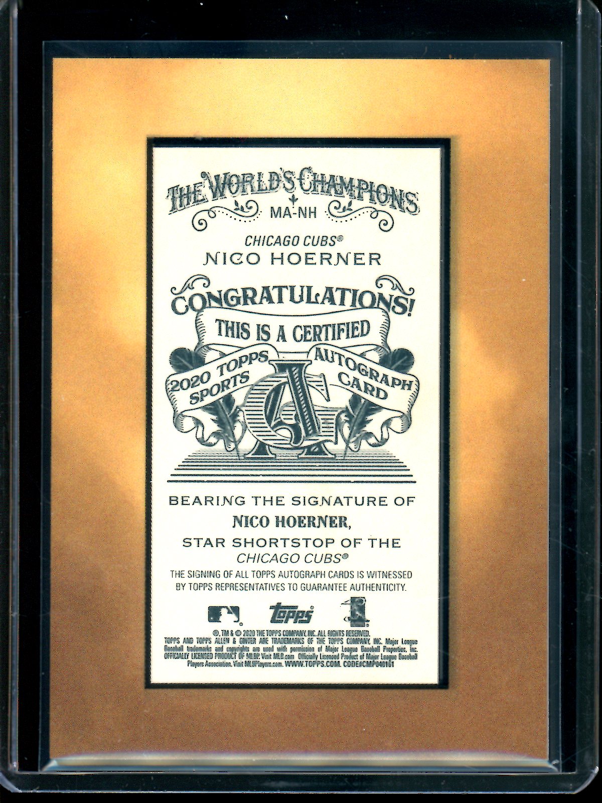 2020 Topps Allen and Ginter Nico Hoerner Framed Rookie Autograph Cubs