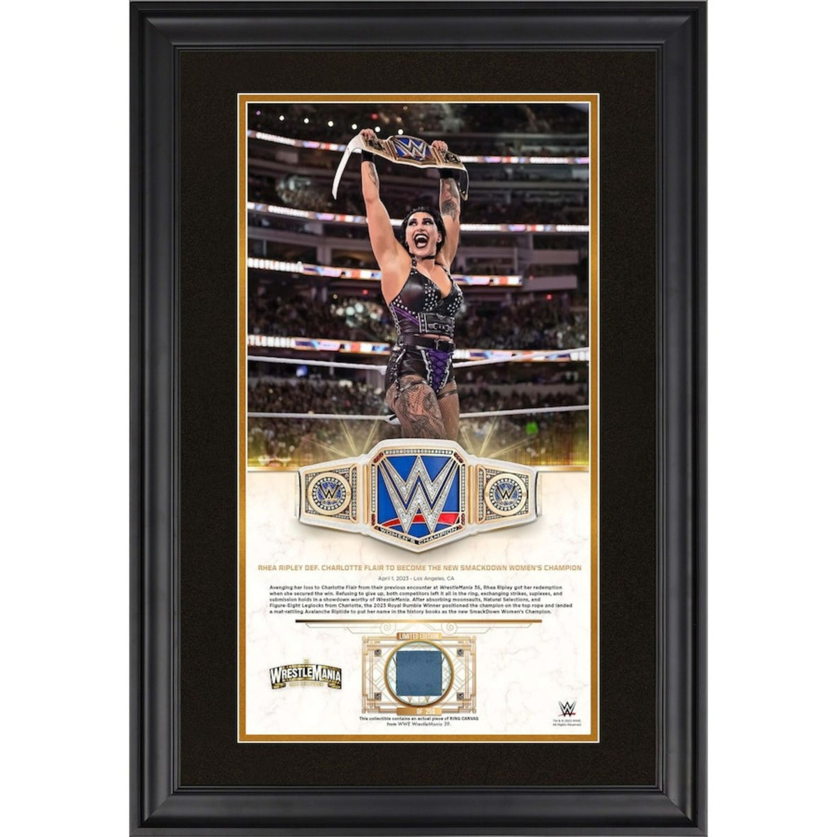 Rhea Ripley Math Card Rhea Ripley WWE Fanatics Authentic Framed 10