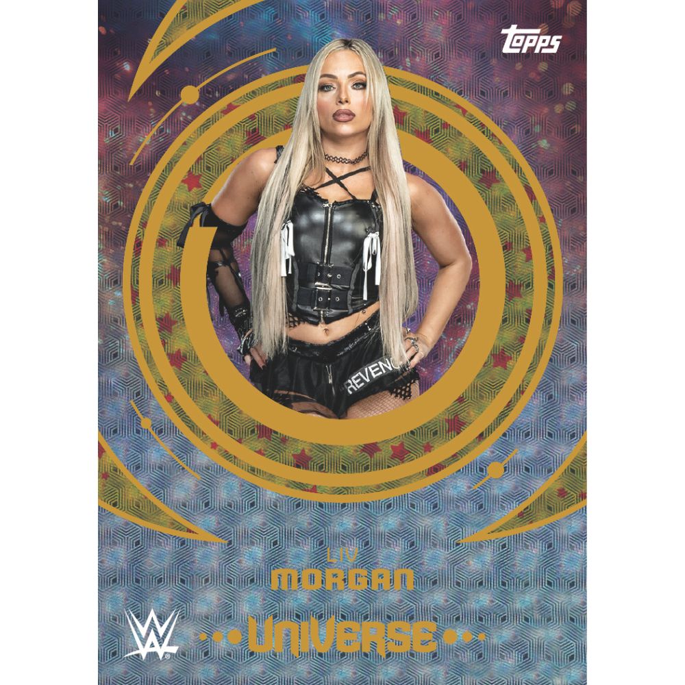 2025 Topps WWE Universe Hobby Box (Presell) - Trading Card Market