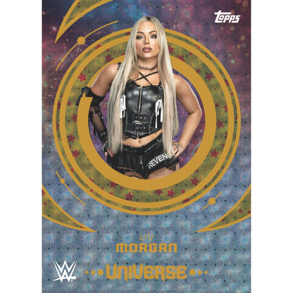 2025 Topps WWE Universe Hobby Box (Presell) - Trading Card Market