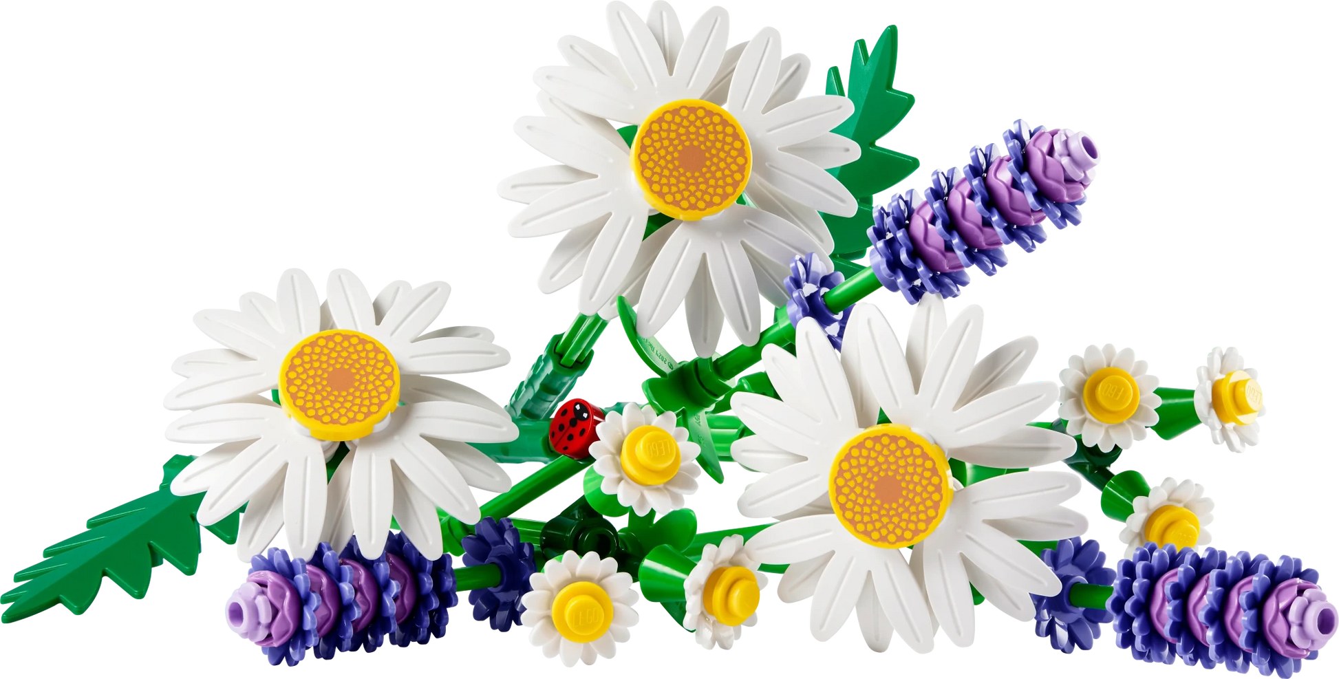 LEGO Botanicals Daisies - Trading Card Market