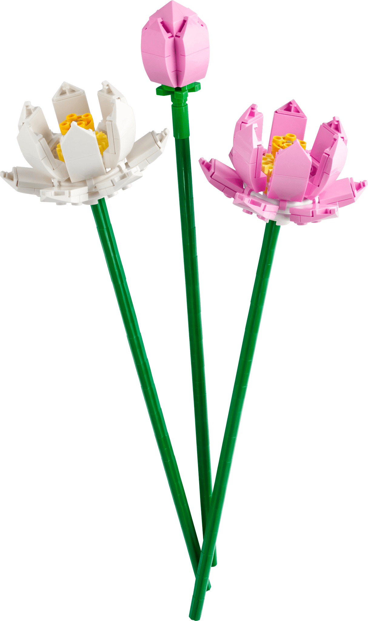 LEGO Botanicals Lotus Flowers - Trading Card Market