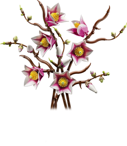 LEGO Botanicals Magnolia Branches - Trading Card Market