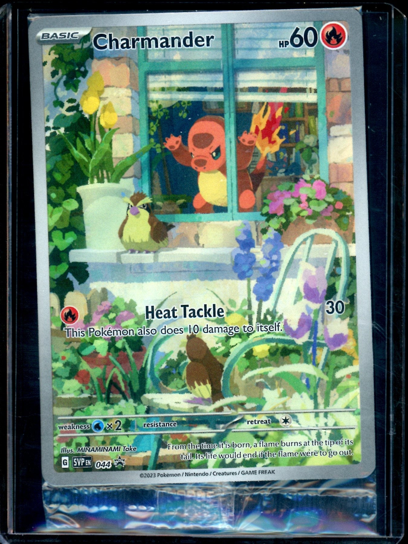 2023 Pokemon Obsidian Flames Charmander 044 Promo (B)