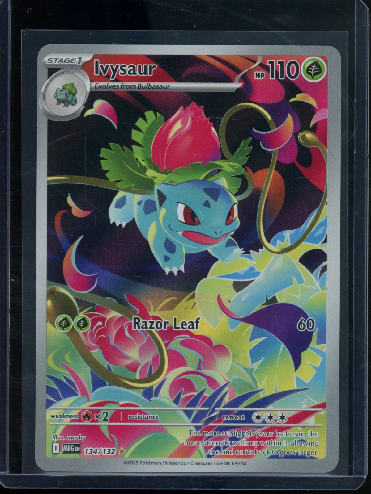 2025 Pokemon Mega Evolution Ivysaur 134/132 - Trading Card Market